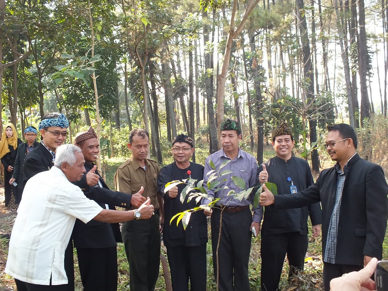 Pengembangan Perangkat Lunak Gim